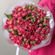 Пионовидные тюльпаны 101 шт 2