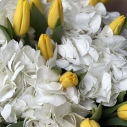 Гортензия и желтые тюльпаны 3