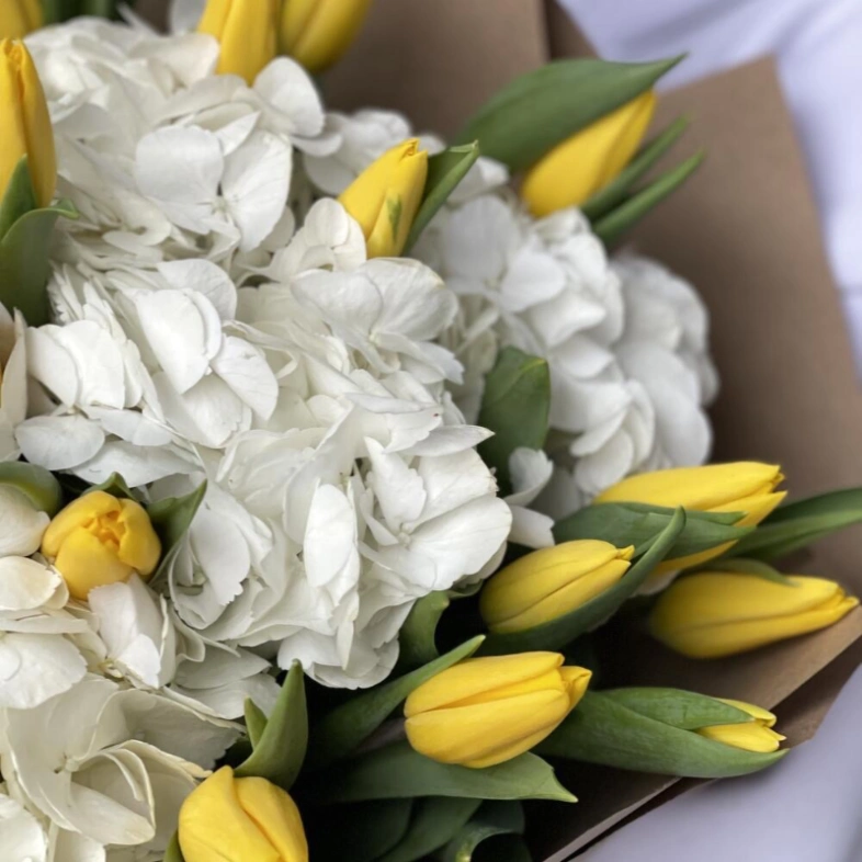 Гортензия и желтые тюльпаны