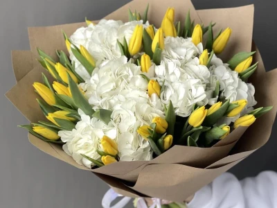 Гортензия и желтые тюльпаны