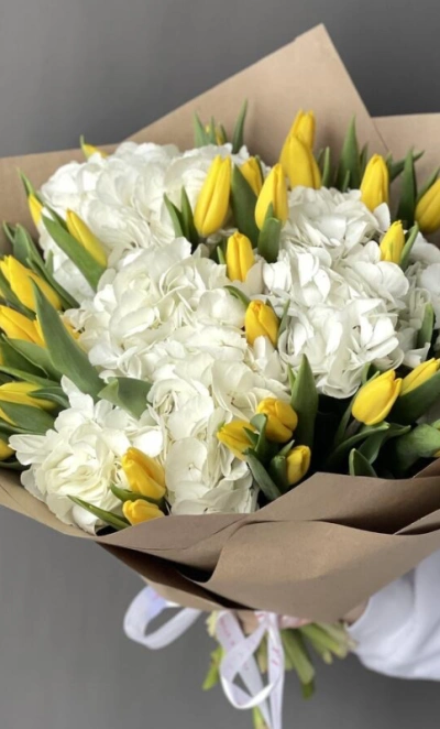 Гортензия и желтые тюльпаны