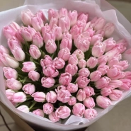 101 нежно-розовые тюльпаны 0