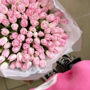 101 нежно-розовые тюльпаны 3