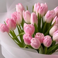 Нежно розовые тюльпаны 25 4