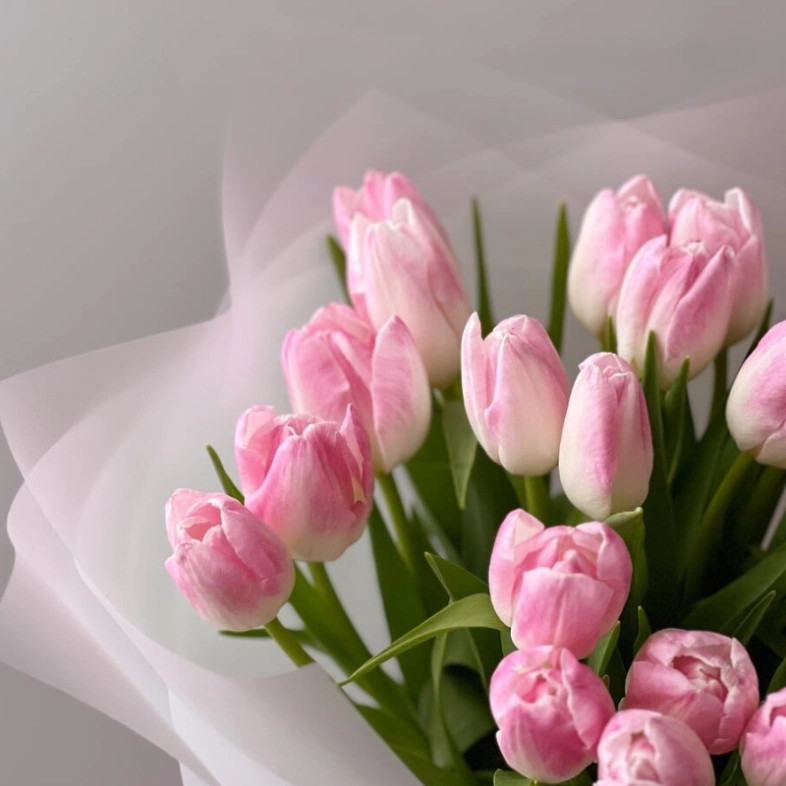 Нежно розовые тюльпаны 25