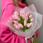 Нежно розовые тюльпаны 25 0