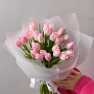 Нежно розовые тюльпаны 25 2