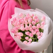 Нежно-розовые тюльпаны 51 1