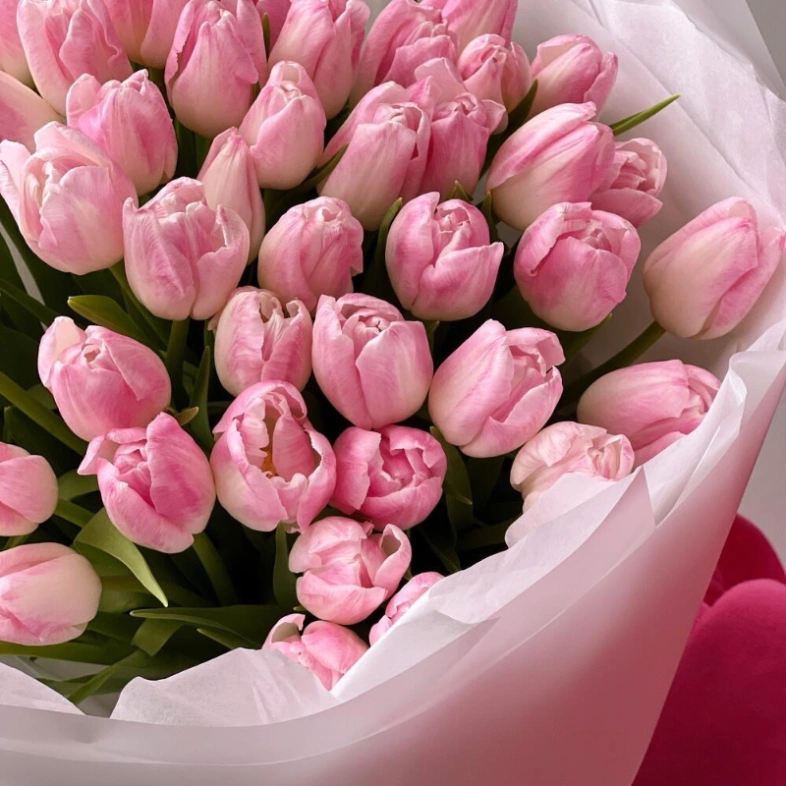 Нежно-розовые тюльпаны 51