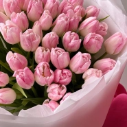 Нежно-розовые тюльпаны 51 4