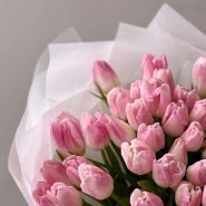 Нежно-розовые тюльпаны 51 3