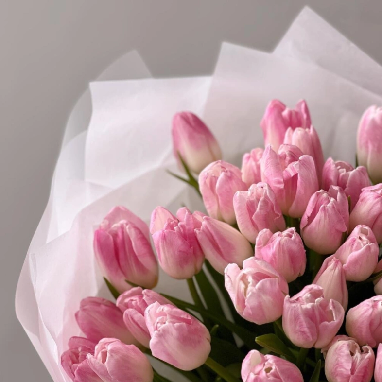 Нежно-розовые тюльпаны 51