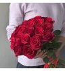 Роза красная классика 25
