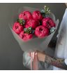 Пионы Корал Шарм 7 и оксипеталлум 1