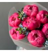 Пионы Корал Шарм 7 и оксипеталлум 3