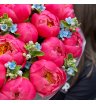 Букет «Rosenrot» / 15 пион Coral Charm-незабудка 3