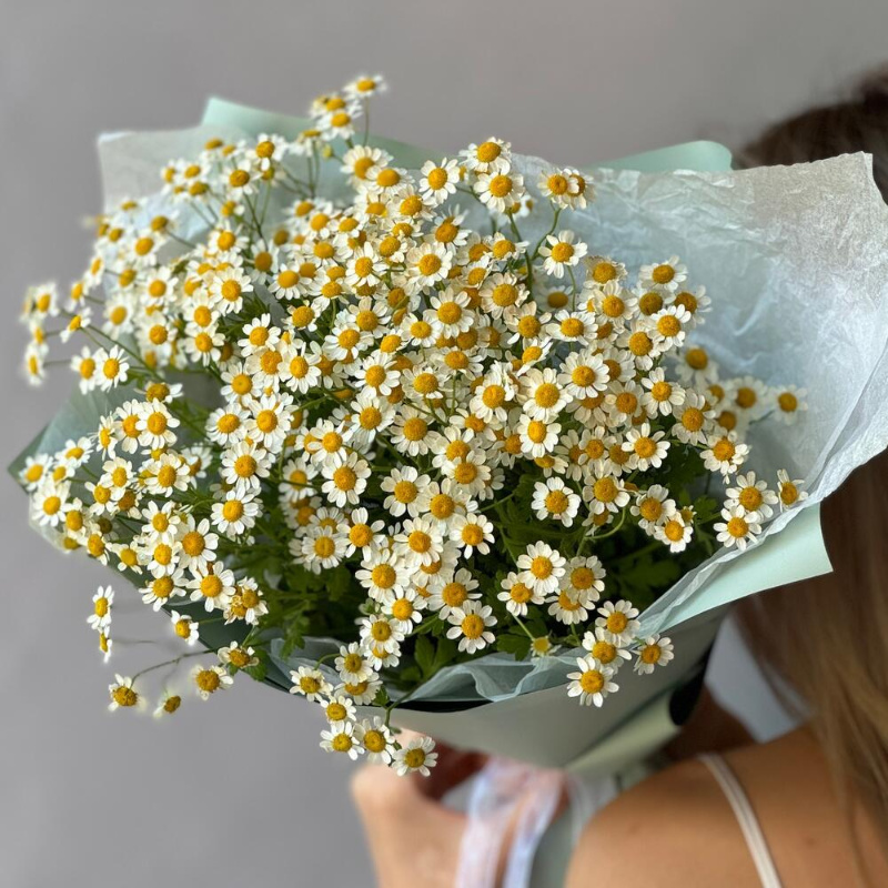 Букет Ромашка 9 2