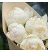 Белоснежные пионы 5 3