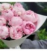 9 розовых пионов Сара Бернар 3