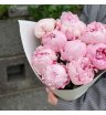 9 розовых пионов Сара Бернар 2