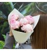5 розовых пионов Сара Бернар 1