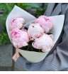 5 розовых пионов Сара Бернар