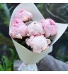 5 розовых пионов Сара Бернар 2
