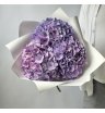 Гортензия Голландия фиолетовая 3