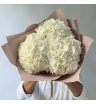 Гортензия Голландия белая 2