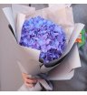 Гортензия «фиалка» в стильной упаковке 1