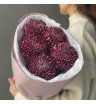 Сезонная хризантема бигуди Purple 1