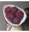 Сезонная хризантема бигуди Purple