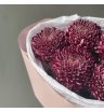 Сезонная хризантема бигуди Purple 2
