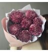 Хризантема бигуди Purple 1